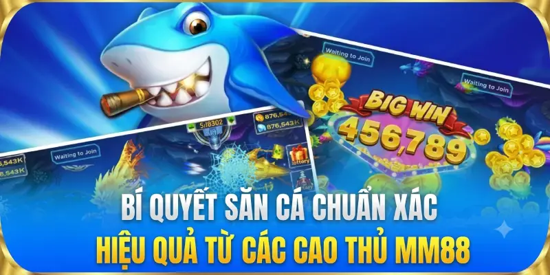 Bí kíp săn cá chuẩn xác hiệu quả từ các cao thủ MM88 Bí kíp săn cá chuẩn xác hiệu quả từ các cao thủ MM88